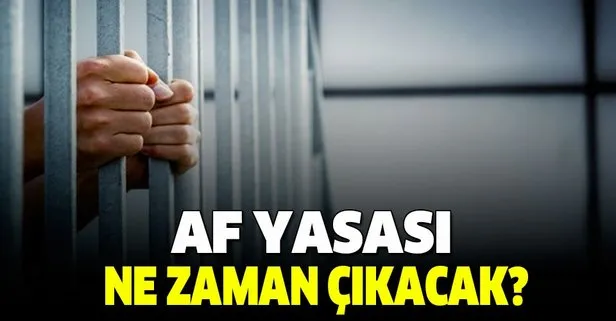 Af yasası ne zaman çıkacak? Ceza indirimi Meclis açıldığında gündeme gelecek mi?