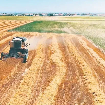50 bin dekar arazi verime kavuşacak