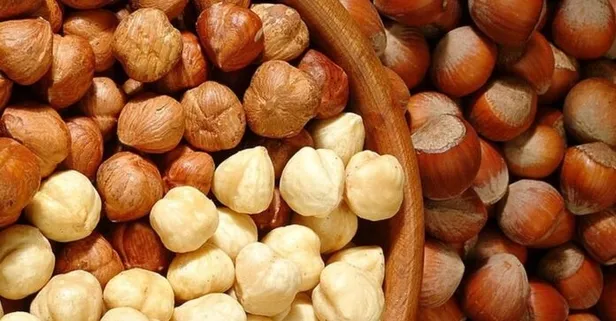 16 Mart 2021: Fındık fiyatları ne kadar oldu? 16 Mart il il fındık fiyatları listesi! Ordu, Giresun, Trabzon, Zonguldak...