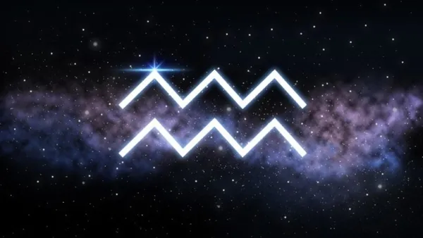 Aşkı kovalayın! Kova burcu 2021'de bol para kazanacak... 2021 günlük burç yorumları-1