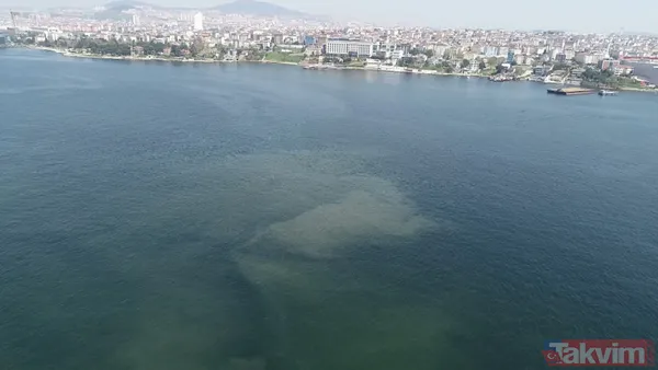 Müsilaj kabusu geri döndü! İstanbul'da müsilaj her geçen dakika artıyor - 14