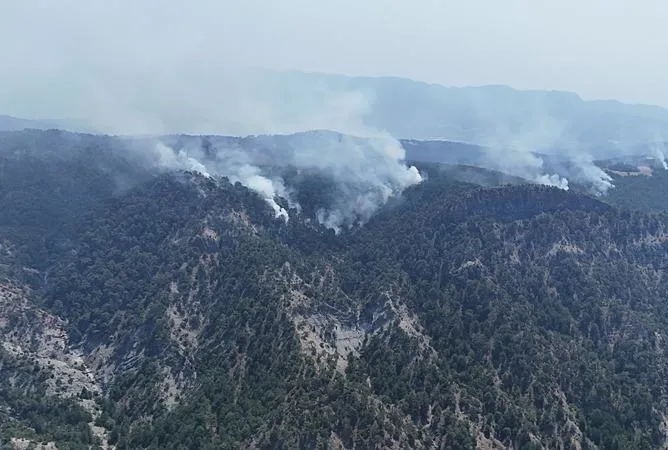 7 şüpheliden 3’ü tutuklandı