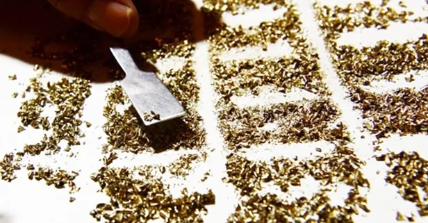 Herkes bilmeden çöpe atıyor ama %90'ı altın! Duyan peşine düşüyor sakın kaptırmayın