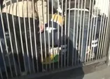 Arnavutköy'de liseli gencin feci ölümü