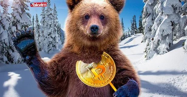 Ayı piyasası nedir, ne kadar sürer? Kripto paralar ve Bitcoin ayı sezonuna mı girdi? Ayı tuzağı nedir?
