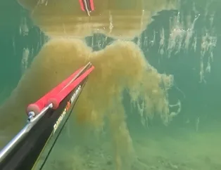 Marmara Denizinde müsilaj alarmı! 1,5 metre derinlikte korkutan manzara