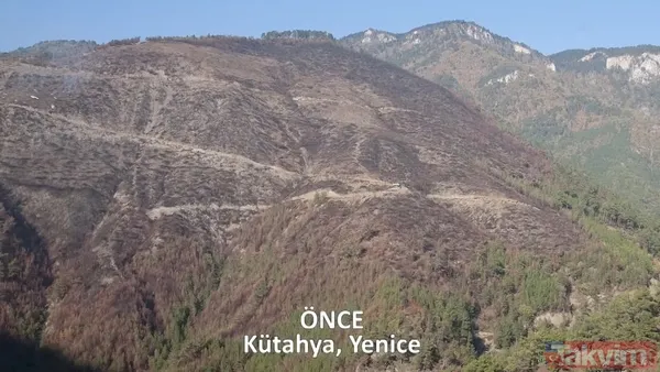 CHP ve yandaşı medyanın yangınlar üzerinden kirli algı oyunu çöktü: 'Otel yapacaklar' dedikleri alanlar tek tek yeşillendirildi - 23