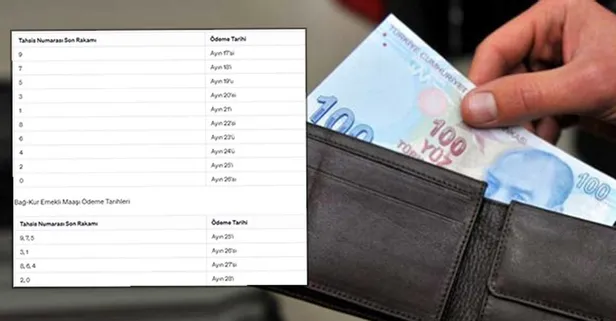 15.6 milyon emekli için duyuru yapıldı! 24-25-26-27-28 Haziran tarihlerinde hesapta olacak! SGK BAĞ-KUR ödeme tarihleri