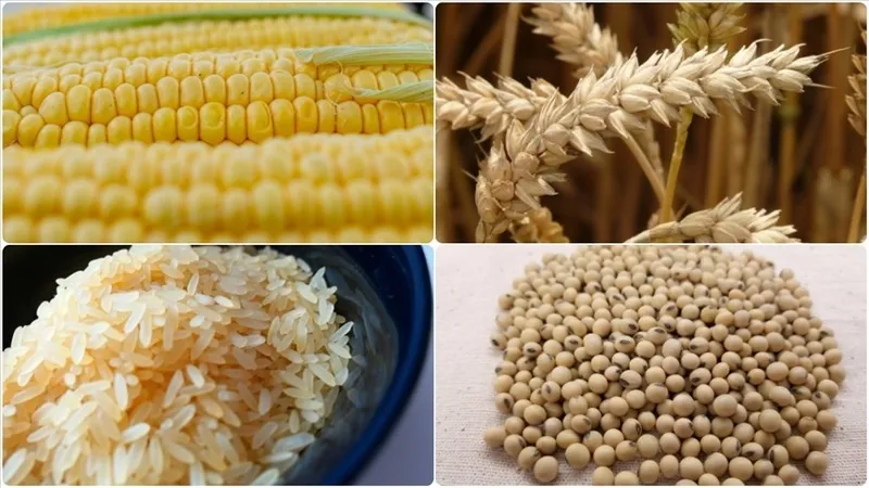 abd-israil-iran-savasi-gubreyi-vurdu-uretim-durdu-tarim-felc-oldu-bmden-sistematik-sok-ve-fiyat-artisi-uyarisi-1774859689450.jpeg ABD-İsrail-İran savaşı gübreyi vurdu! "Üre"tim durdu tarım felç oldu: BM'den "sistematik şok" ve fiyat artışı uyarısı | Türkiye'den önlem-8