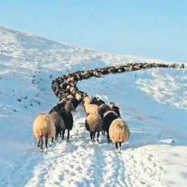 Havalar ’Kar’ışık