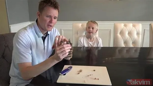 Çıngıraklı yılanın kuyruğundan çıkanlar görenleri şoke etti! Sonrasında ise... - 27