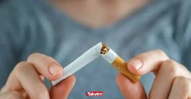 En ucuz sigara hangisi? Hangi sigaralara, kaç TL zam geldi? Winston Slender blue, Kent, Rothmans, Camel, Medley yeni fiyat listesi