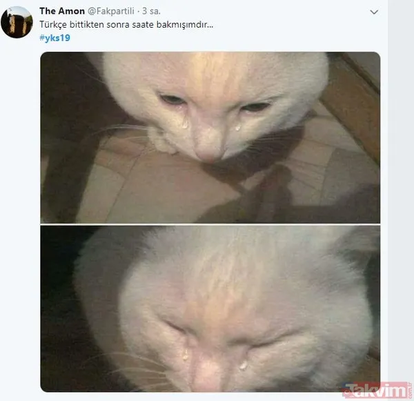 Twitter'da YKS çılgınlığı! TYT soruları öğrencileri isyan ettirdi, İşte birbirinden ilginç YKS paylaşımlar - 13