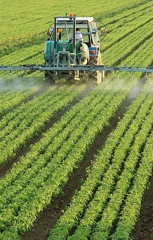 TARSİM’den seralara güvence çağrısı