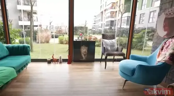 Yeşilçam'ın Afrodit'i Banu Alkan evinin kapılarını açtı! Bülent Ersoy ve Safiye Soyman'ın partnerinin aşk yuvası büyüledi! - 13