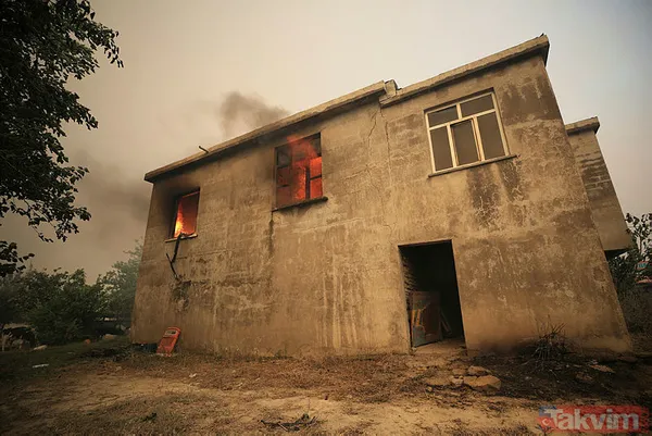 Antalya Manavgat'ta yangın felaketi! Acı haber geldi: 3 kişi hayatını kaybetti - 8