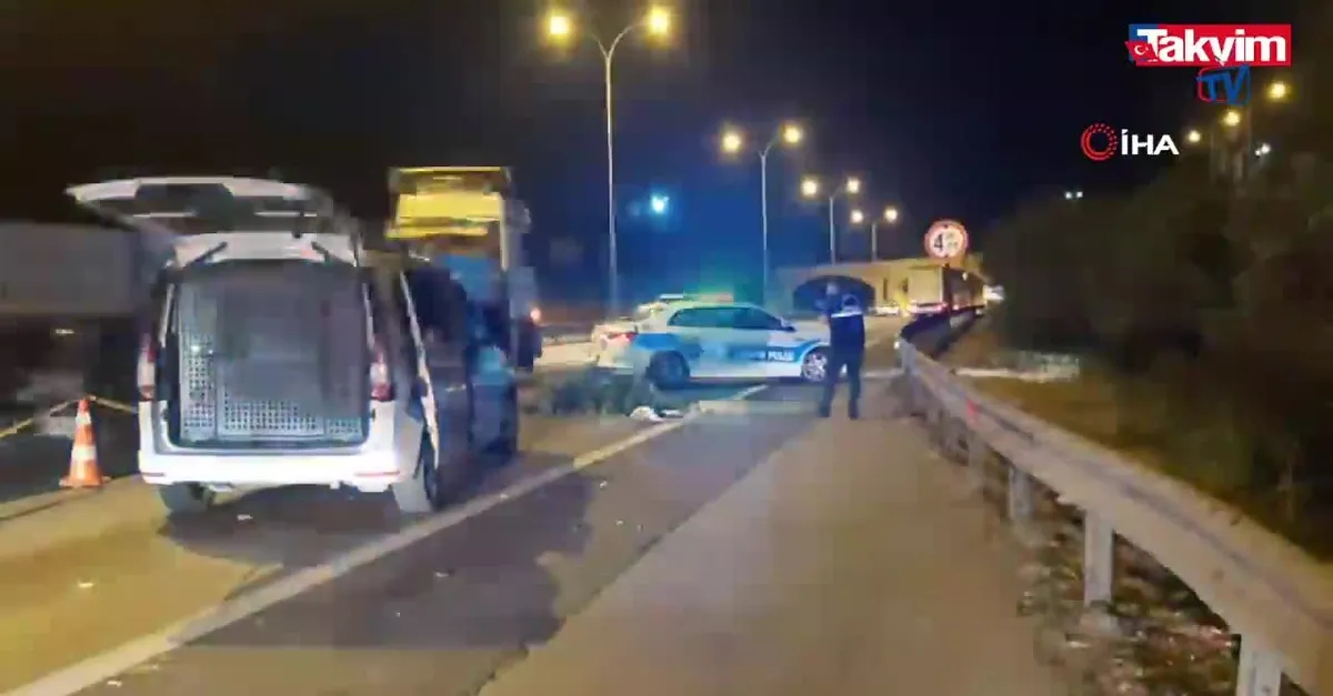 Yer: Kocaeli! TEM’de yolun karşısına geçerken tırın çarptığı şahıs hayatını kaybetti