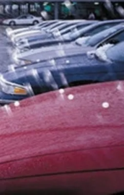 İstanbul'u vuran dolu, ekmek kapısı oldu