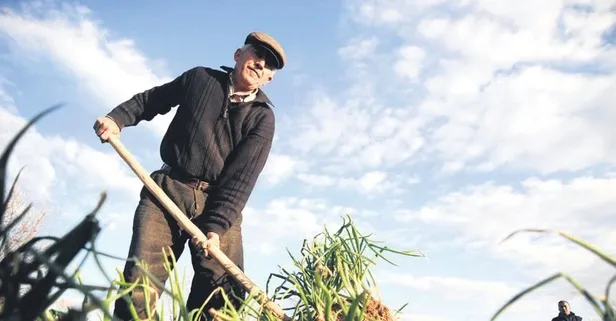 349 milyon TL'lik tarım desteği 3 Ekim itibarıyla çiftçilerin hesabında