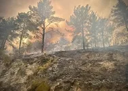 Toplu orman yangınları sonrası PKKyı aklamak için bin takla attılar!