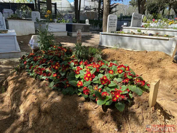 Oğuz Murat Aci’nin annesinden yürek yakan feryat! Baba Özer Aci'den cani Eylem Tok ve kaçak Timur'a çağrı... "Gelin adalete teslim olun" - 10