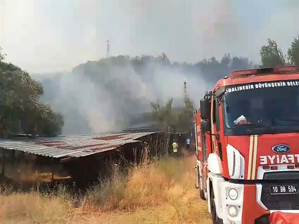 Balıkesir'de orman yangını: Bölge sakinleri ve tatilciler endişeli gözlerle takip etti-4