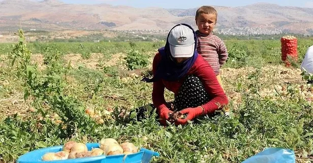 Başkan Erdoğan imzaladı! Mevsimlik tarım işçileriyle ilgili yeni düzenleme