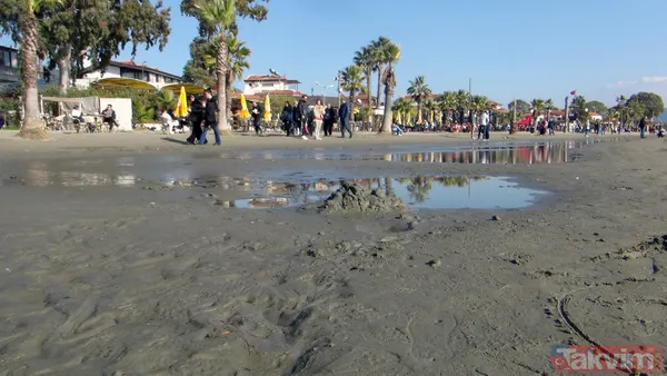 Denizler peş peşe çekildi! Depremle ilgisi var mı? Uzmanlar açıkladı - 10