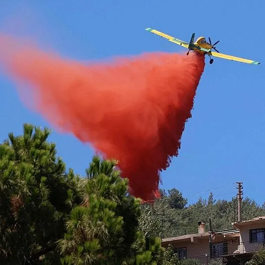 İzmir’de iki ayrı orman yangını