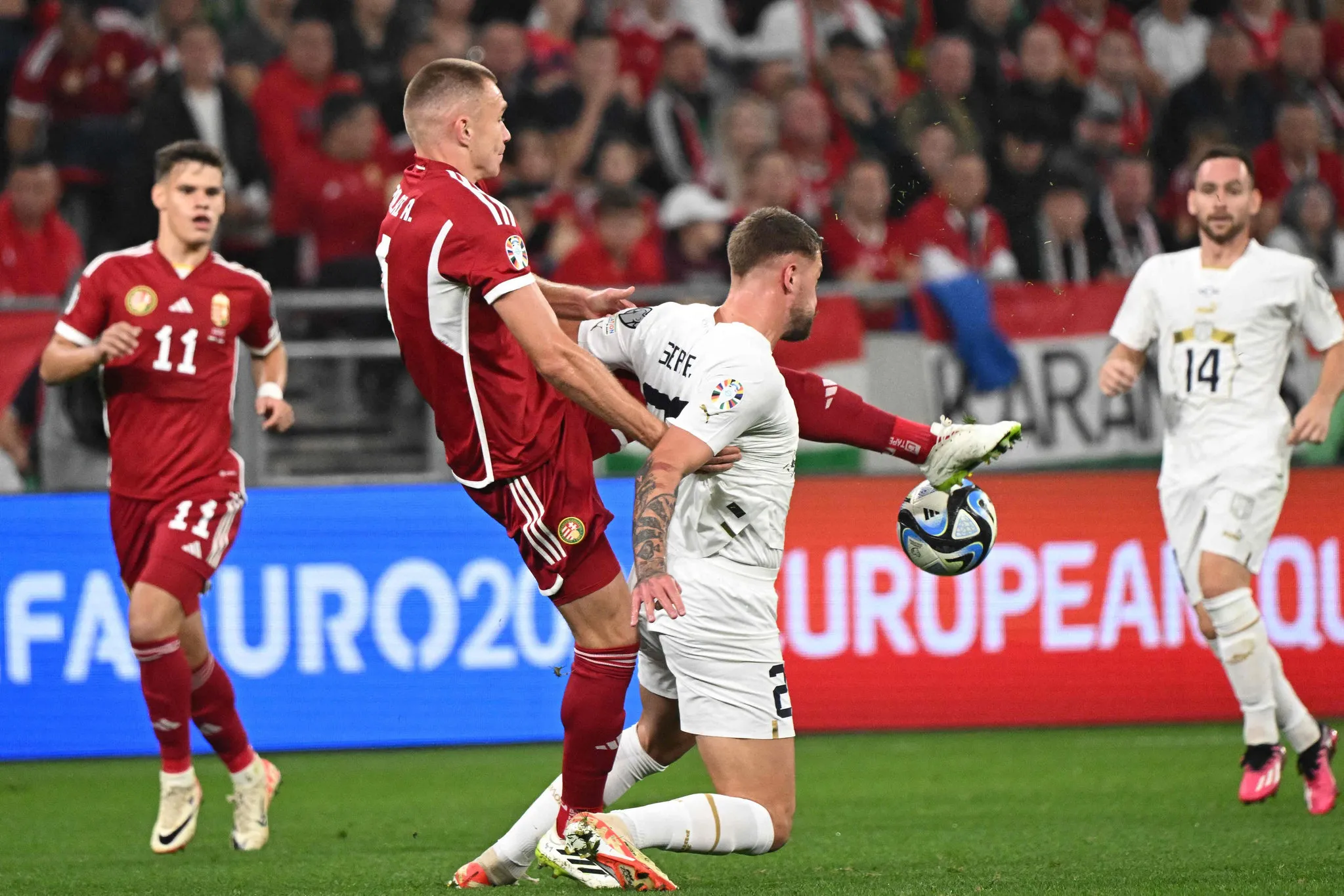 Galatasaray kimya bozacak! Fenerbahçe'nin eski yıldızı Atilla Szalai geliyor - 23