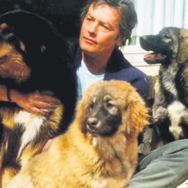 Beni 35 köpeğimin yanına gömün