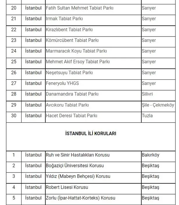 Son dakika: İstanbul'da ormanlara giriş yasağı! Vali Yerlikaya duyurdu: Ormanlara giriş yasağı 31 Temmuz'a kadar sürecek! İşte mangal yapmanın yasak olduğu yerler...-16