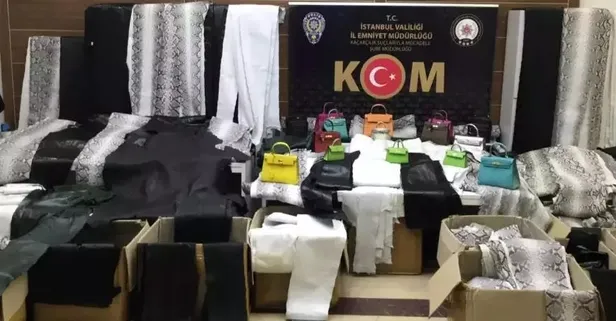 Zeytinburnu'nda baskın: Bin 501 piton yılanı ve devekuşu derileri ele geçirildi
