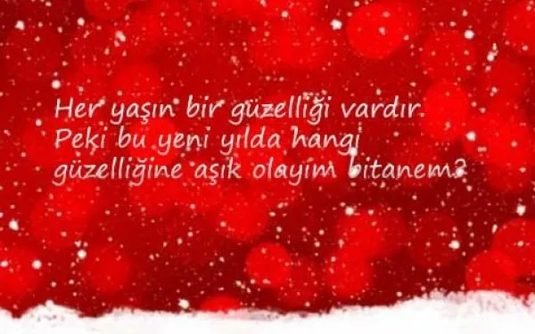 romantik-duygusal-yeni-yil-mesajlari-2021-whatsapptan-sevgiliye-en-guzel-yeni-yil-kutlama-mesajlari-ve-sozleri-1640897259017.jpg