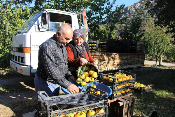 yeni-sari-altin-cennet-hurmasi-dalinda-kilosu-3-lira-kurutup-40-liradan-satiyorlar-1635764058552.jpg Yeni sarı altın: Cennet hurması! Dalında kilosu 3 lira kurutup 40 liradan satıyorlar-7