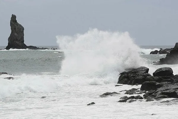 Japonya'da felaketi yaşıyorlar! Tayfun nedeniyle 8 milyon insan yerinden olacak-3