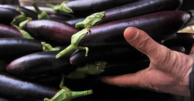 Patlıcanla gelen sağlık