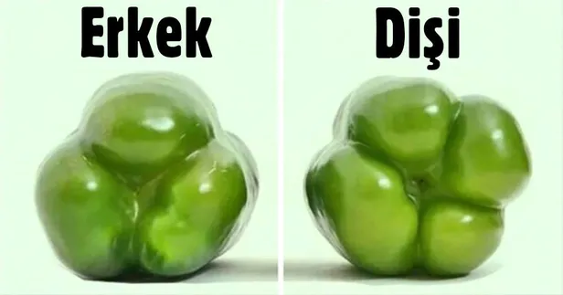 Mutfakta işinize yarayacak pratik bilgiler...-6