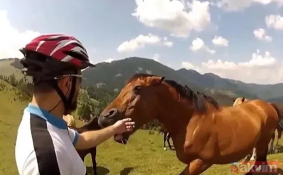 Sadece fotoğraf çektirmek istedi genç kız hayatının şokunu yaşadı! Bir anda üzerine atladı ne var yok... - 10