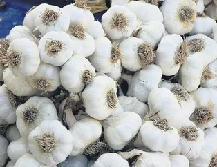 Sarımsaklasak da tiroitleri korusak