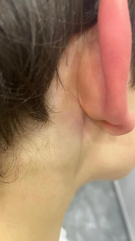 basaksehirde-okul-mudurunun-besledigi-kopekler-ogrenciye-saldirdi-1716370994211.jpeg Başakşehir'de okul müdürünün beslediği köpekler öğrenciye saldırdı-6