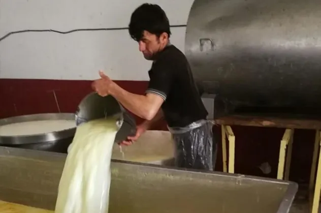 Kaşar peyniri imalathanesinde iğrenç görüntü!