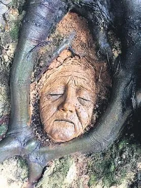 Temizlik işçisi Ahmet Bayram atletizmde 500 kupa ve madalya kazandı (Yaşam haberleri)-11