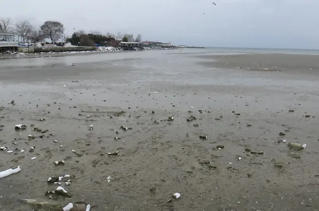İstanbul ve Tekirdağ'da deniz çekildi