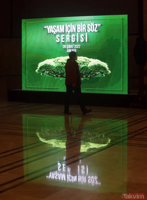 Başkan Recep Tayyip Erdoğan'ın sigarayla mücadele kapsamında topladığı sigara paketleri Cumhurbaşkanlığı Külliyesi'nde sergileniyor - 34