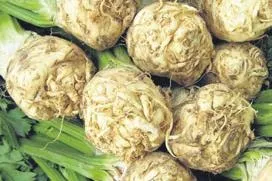 sakiz-alzheimera-yakalanma-riskini-dusuruyor-1683670366625.jpeg Sakız Alzheimer’a yakalanma riskini düşürüyor-4