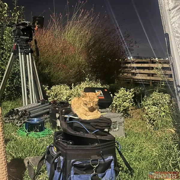 Rabia Soytürk’ün Kör Nokta heyecanı! İlk bölüm öncesi kamera arkasını paylaştı! - 10