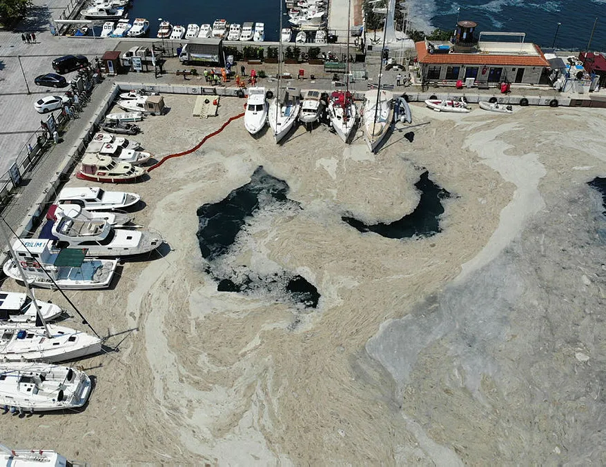 Bakan Kurum müsilajdaki son durumu açıkladı!