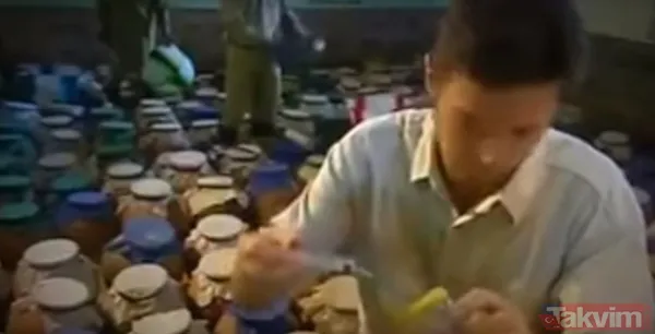 Sadece tek bir damlası kanı hale getirmeye yetti! 55 milyonluk yılan deneyi tehlikenin kanıtı - 22