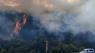 Bolu’da orman yangını!